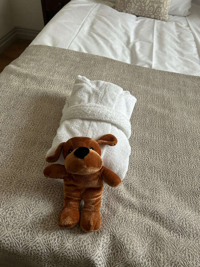 Гостиница Екатерина Санкт-Петербург-237