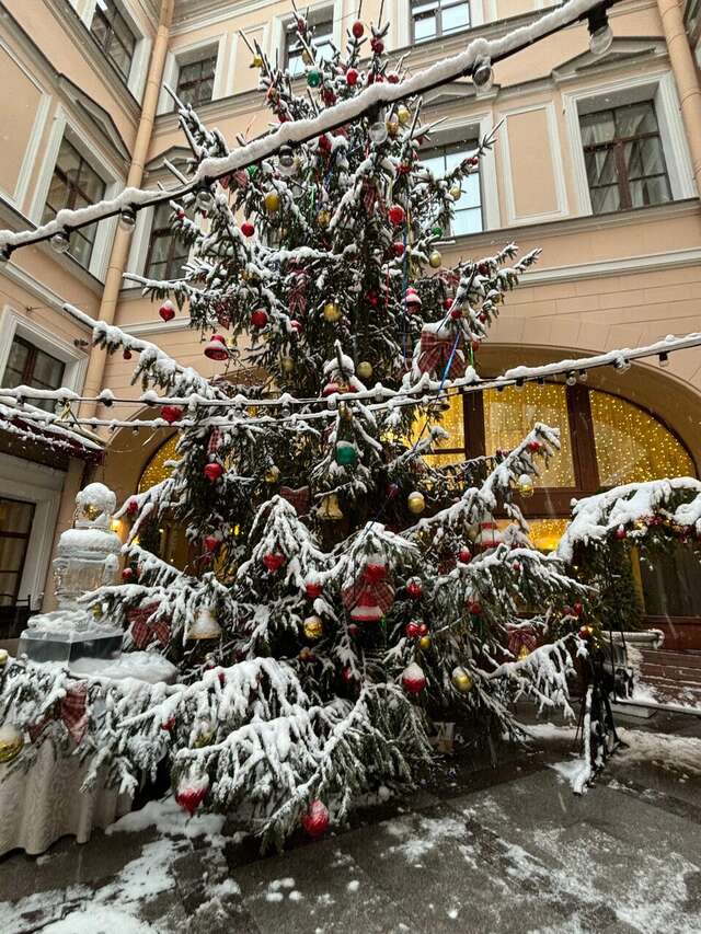 Гостиница Екатерина Санкт-Петербург-207